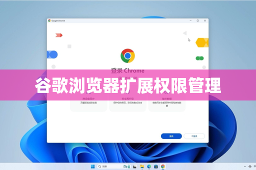 谷歌浏览器扩展权限管理