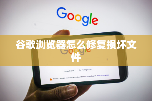 谷歌浏览器怎么修复损坏文件