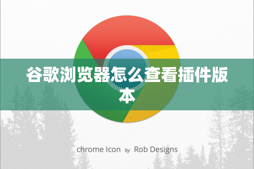 谷歌浏览器怎么查看插件版本