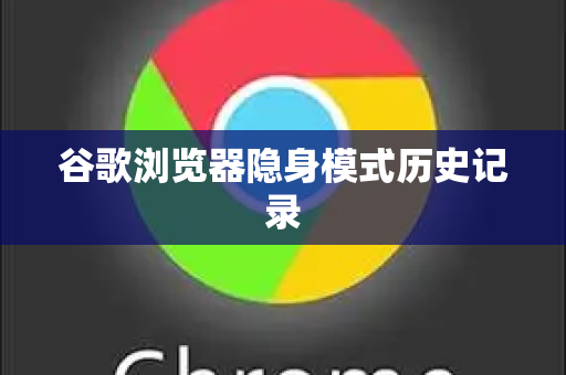 谷歌浏览器隐身模式历史记录