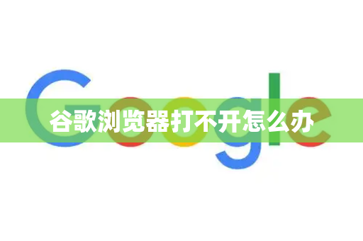 谷歌浏览器打不开怎么办